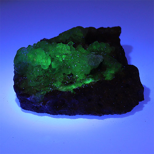 〔D356-11〕希少 メキシコ産 蛍光 ハイアライトオパール 玉滴石 Hyalite Opal 結晶 原石1個売り【メール便不可】