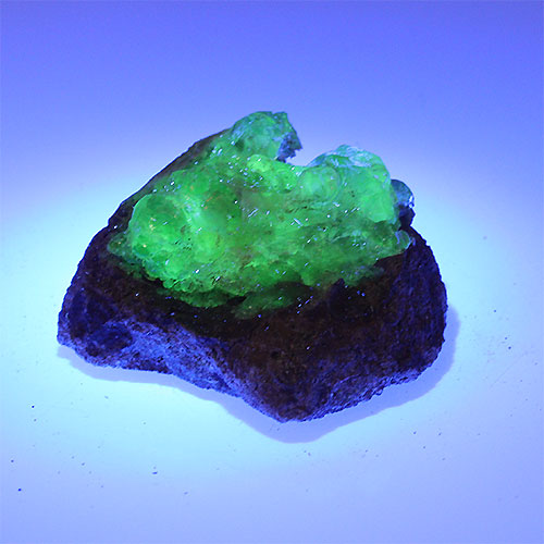 〔D356-28〕希少 メキシコ産 蛍光 ハイアライトオパール 玉滴石 Hyalite Opal 結晶 原石1個売り【メール便不可】