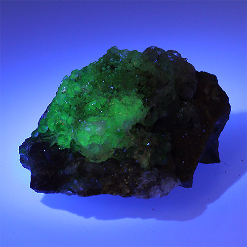 〔D356-9〕希少 メキシコ産 蛍光 ハイアライトオパール 玉滴石 Hyalite Opal 結晶 原石1個売り【メール便不可】