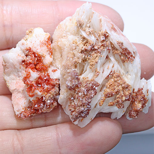 〔D361-26〕バナジナイト(褐鉛鉱) モロッコ産 Vanadinite 2個 鉱物原石【メール便不可】