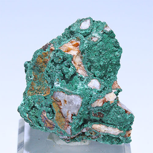 〔D363-40〕マラカイト(孔雀石) モロッコ産 Malachite 1個 鉱物原石【メール便不可】