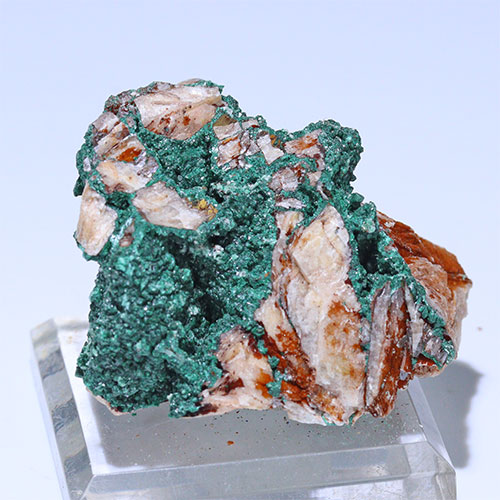 〔D363-44〕マラカイト(孔雀石) モロッコ産 Malachite 1個 鉱物原石【メール便不可】