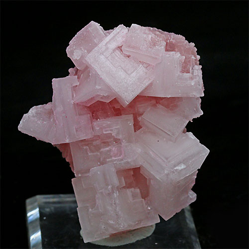 〔D427-9〕濃いピンク ピンクハーライトカリフォルニア産  Pink Halite 岩塩 塩の花 浄化 鉱物 原石 標本