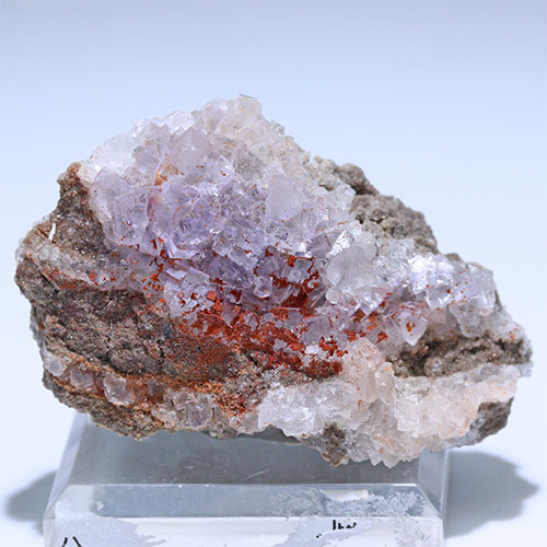 〔D450-13〕フローライト メキシコ コアウイラ州 ムスキス トゥーレ鉱山 蛍光 Fluorite  蛍石 結晶 原石【メール便不可】