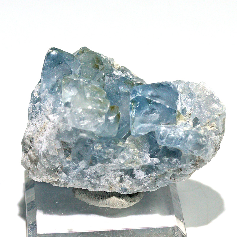 〔D470-2〕マダガスカル産 セレスタイト クラスター Celestite 天青石 セレスティン 浄化 置物【メール便不可】