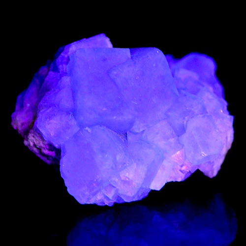 メール便不可 〔D486-13〕Fluorite フローライト 蛍光鉱物 蛍石 マダガスカル 結晶 原石【FOREST 天然石 パワーストーン】