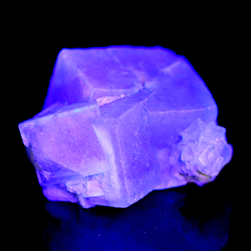 メール便不可 〔D486-16〕Fluorite フローライト 蛍光鉱物 蛍石 マダガスカル 結晶 原石【FOREST 天然石 パワーストーン】