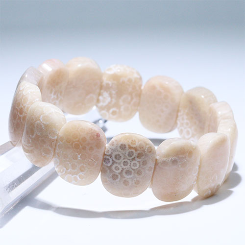 〔K2001-3〕超かわいい フォッシルコーラル バングル ブレスレット 化石珊瑚 Fossil coral