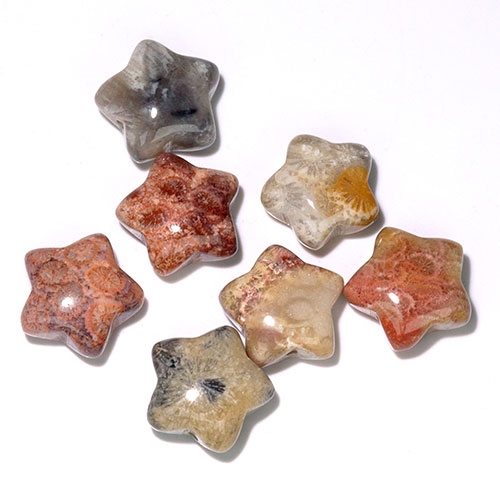 〔Z72-1〕フォッシルコーラル 星形 ビーズ 7個 粒売りFossil coral【FOREST 天然石 パワーストーン】