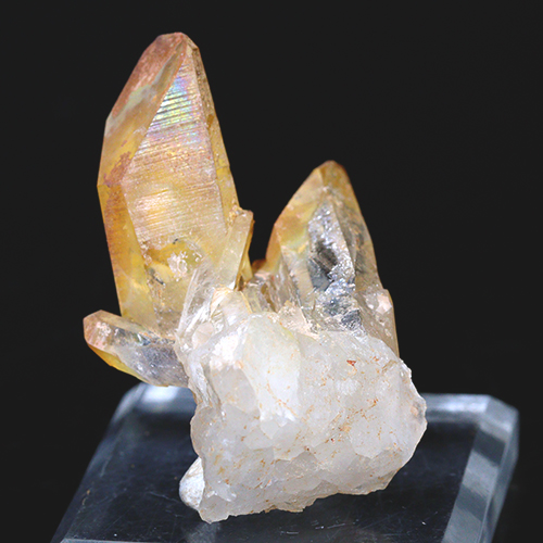 メール便不可 〔D122-20〕希少 アーカンソー州産 ゴールデンヒーラー クラスター Arkansas Golden Healer