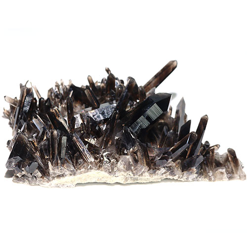 〔D30-550〕極上品 アーカンソー産 Extra スモーキークォーツ 黒水晶 クラスター【FOREST 天然石 パワーストーン】【メール便不可】