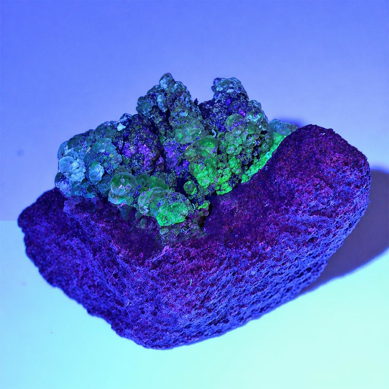 〔D356-38〕希少 メキシコ産 蛍光 ハイアライトオパール 玉滴石 Hyalite Opal 結晶 原石1個売り【メール便不可】