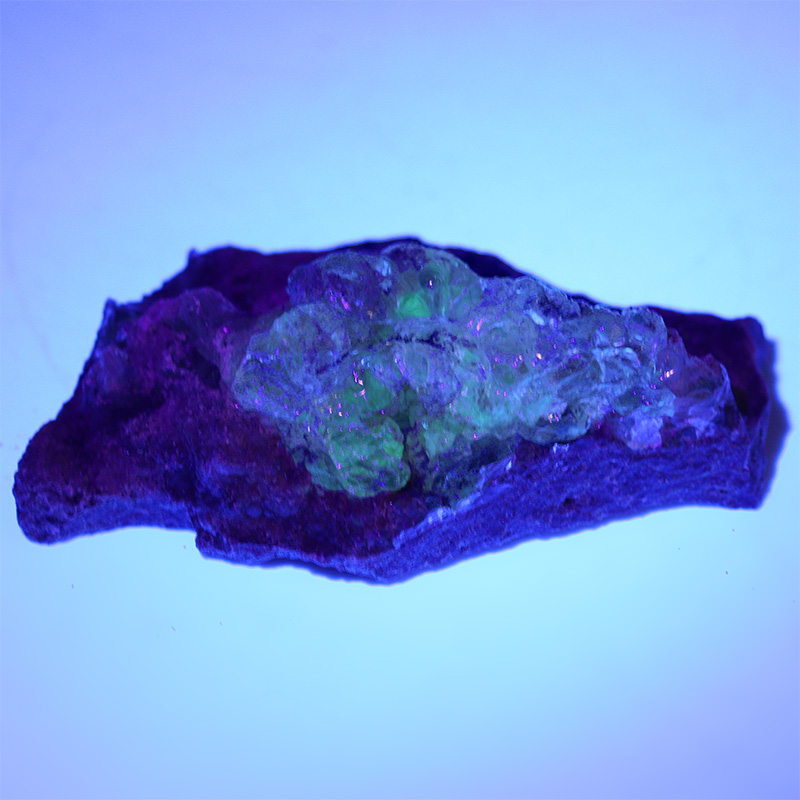 〔D356-39〕希少 メキシコ産 蛍光 ハイアライトオパール 玉滴石 Hyalite Opal 結晶 原石1個売り【メール便不可】