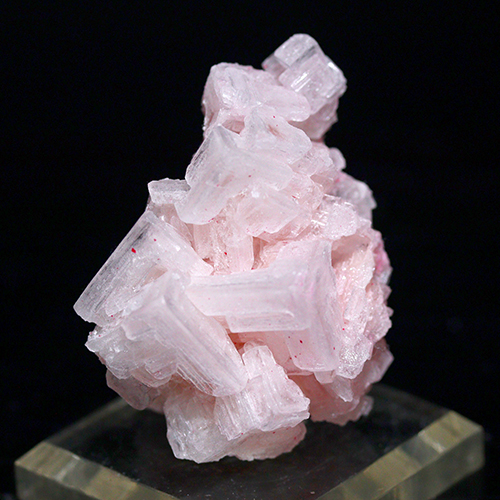 メール便不可 〔D427-37〕濃いピンク ピンクハーライトカリフォルニア産  Pink Halite 岩塩 塩の花 浄化 鉱物 原石 標本