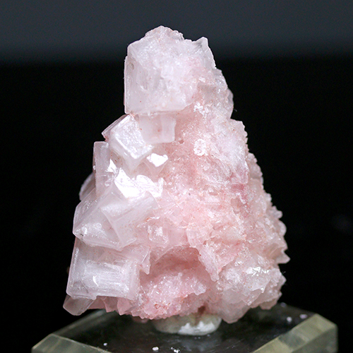 メール便不可 〔D427-46〕濃いピンク ピンクハーライトカリフォルニア産  Pink Halite 岩塩 塩の花 浄化 鉱物 原石 標本