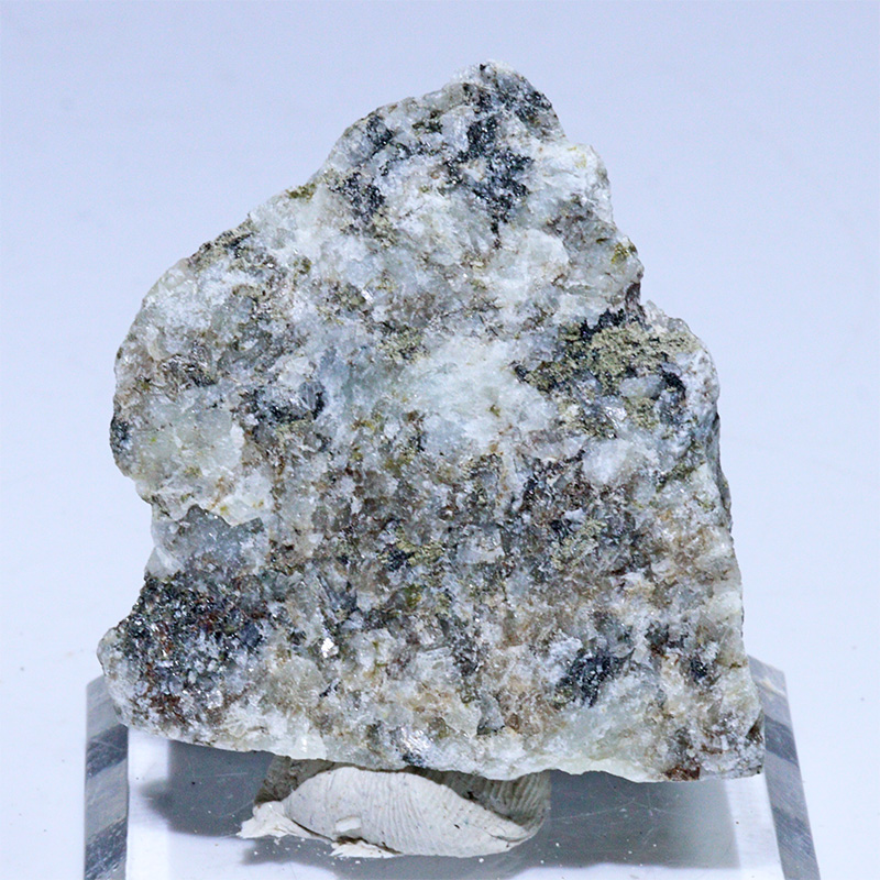 〔D456-5〕国産希少 杉石 スギライト 愛媛県岩城島産 Sugilite 原石 鉱物