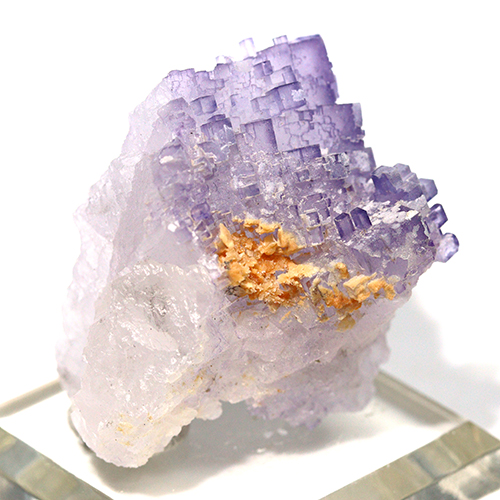 〔D480-10〕メキシコ・ムスキス産  Fluorite フローライト 原石 【メール便不可】