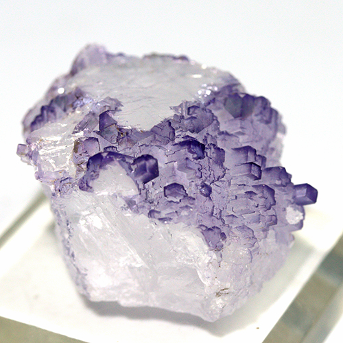 〔D480-11〕メキシコ・ムスキス産  Fluorite フローライト 原石 【メール便不可】