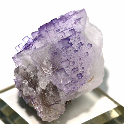 〔D480-12〕メキシコ・ムスキス産  Fluorite フローライト 原石 【メール便不可】