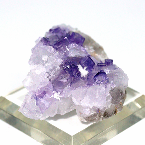 〔D480-16〕メキシコ・ムスキス産  Fluorite フローライト 原石 【メール便不可】