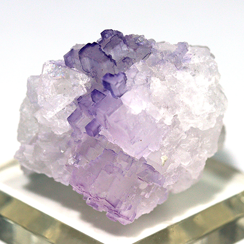 〔D480-21〕メキシコ・ムスキス産  Fluorite フローライト 原石 【メール便不可】