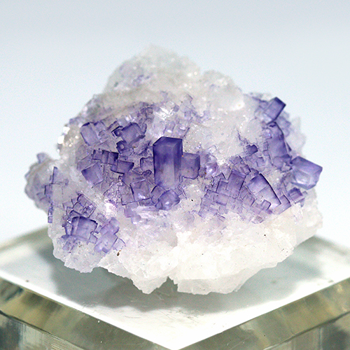 〔D480-28〕メキシコ・ムスキス産  Fluorite フローライト 原石 【メール便不可】