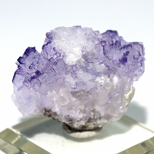 〔D480-8〕メキシコ・ムスキス産  Fluorite フローライト 原石 【メール便不可】