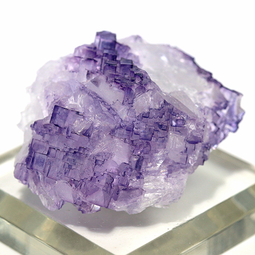 〔D480-9〕メキシコ・ムスキス産  Fluorite フローライト 原石 【メール便不可】