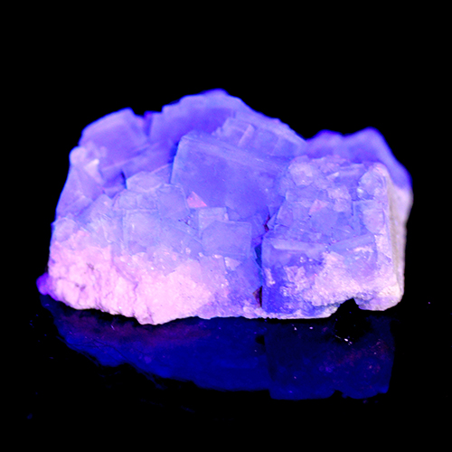メール便不可 〔D486-5〕Fluorite フローライト 蛍光鉱物 蛍石 マダガスカル 結晶 原石【FOREST 天然石 パワーストーン】