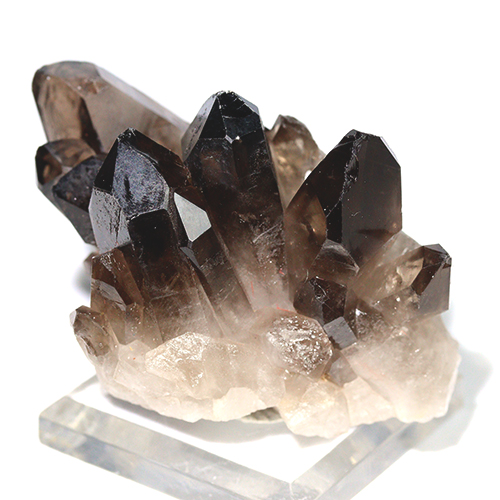 メール便不可 〔D491-9〕ブラジル ミナスジェライス コリント スモーキークォーツ クラスター smoky quartz